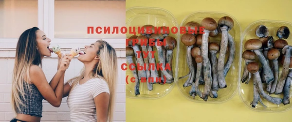 сатива Наволоки